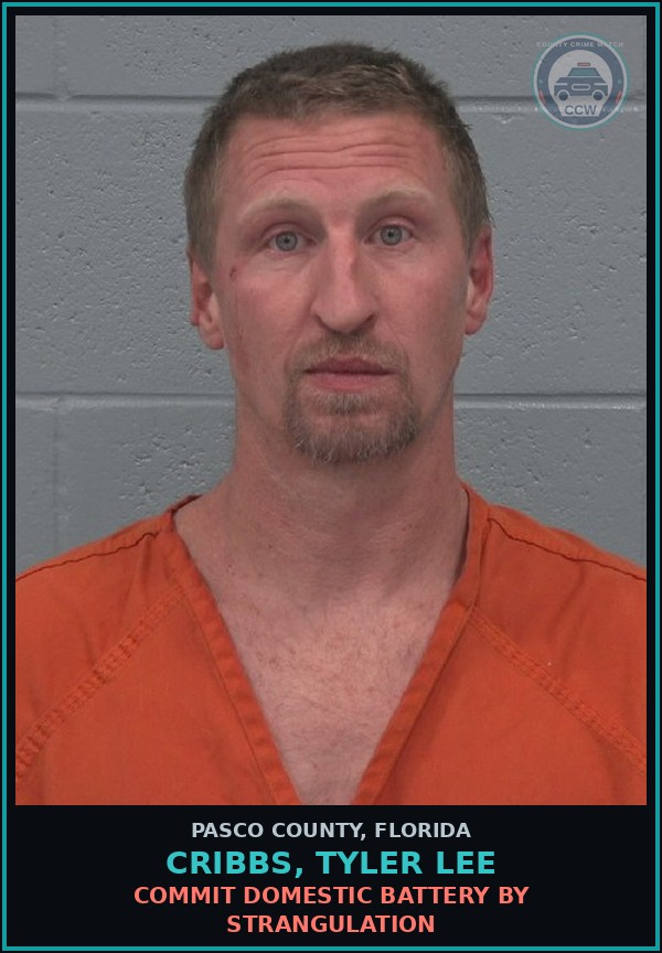 Booking mugshot of CRIBBS, TYLER LEE in Pasco County
