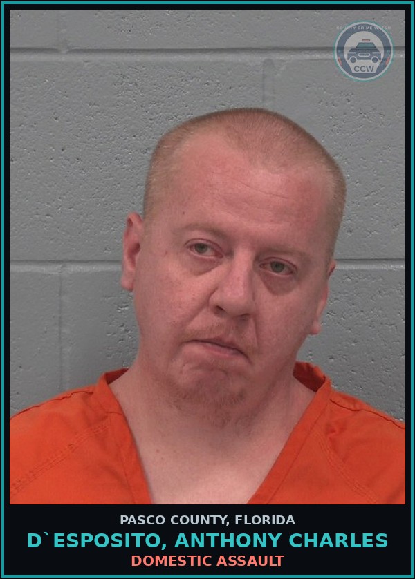 Booking mugshot of D`ESPOSITO, ANTHONY CHARLES in Pasco County