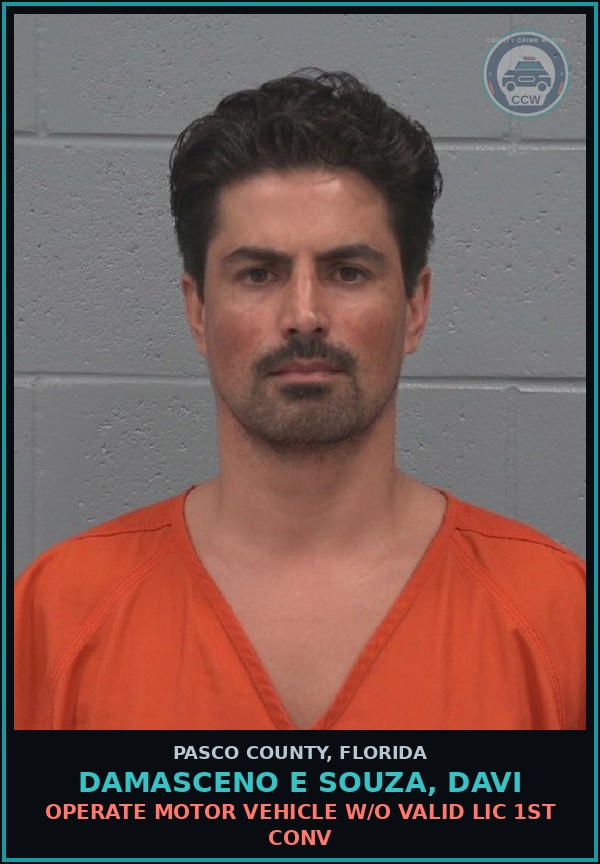 Booking mugshot of DAMASCENO E SOUZA, DAVI in Pasco County