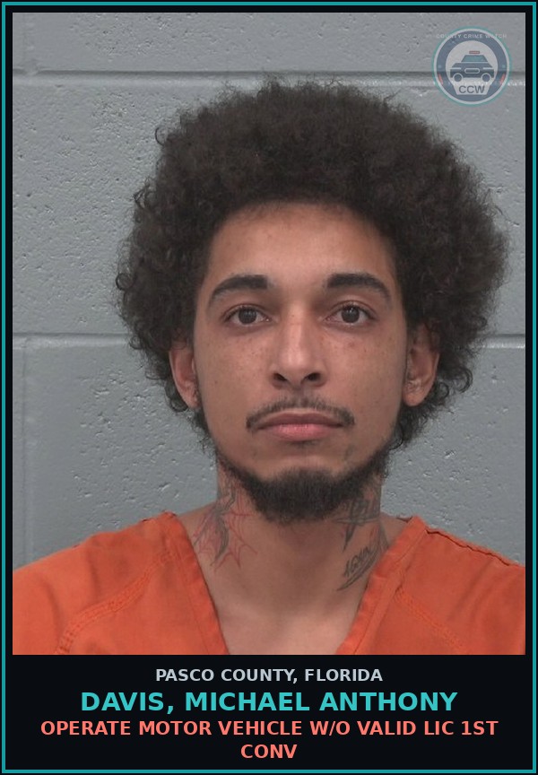 Booking mugshot of DAVIS, MICHAEL ANTHONY in Pasco County