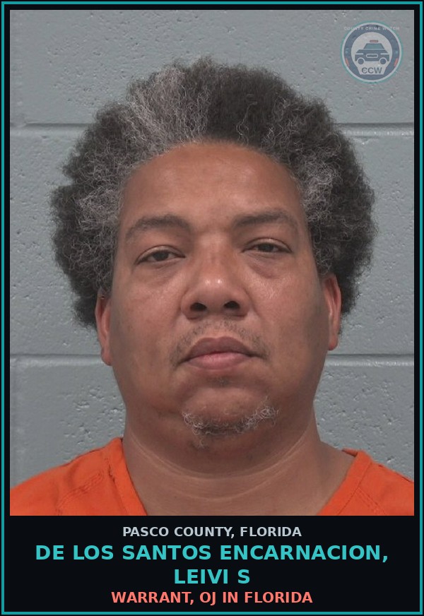 Booking mugshot of DE LOS SANTOS ENCARNACION, LEIVI S in Pasco County