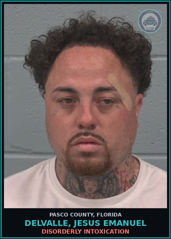 Booking mugshot of DELVALLE, JESUS EMANUEL in Pasco County