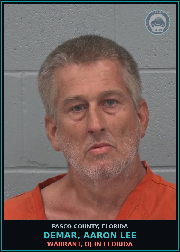 Booking mugshot of DEMAR, AARON LEE in Pasco County