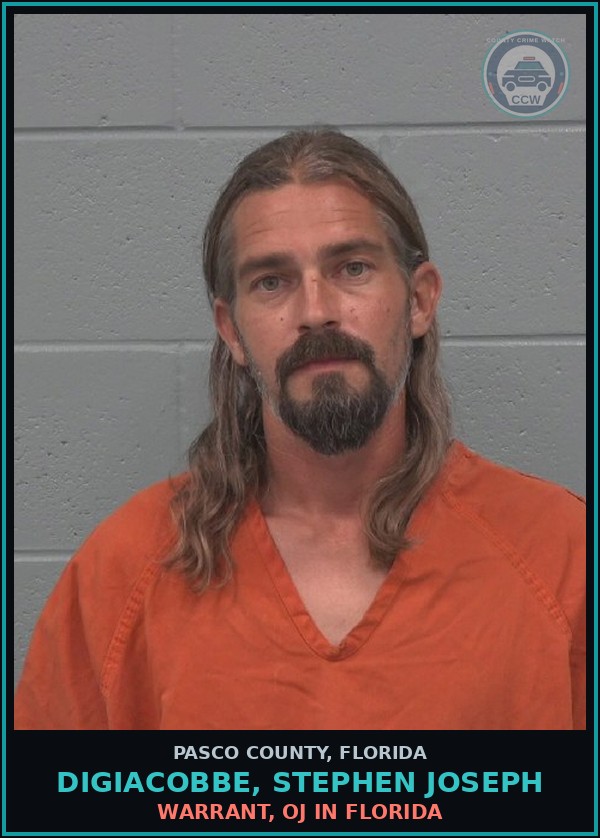 Booking mugshot of DIGIACOBBE, STEPHEN JOSEPH in Pasco County