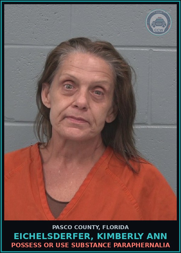 Booking mugshot of EICHELSDERFER, KIMBERLY ANN in Pasco County