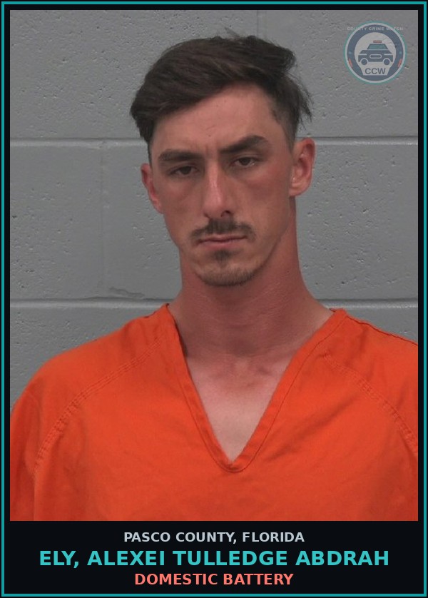 Booking mugshot of ELY, ALEXEI TULLEDGE ABDRAH in Pasco County