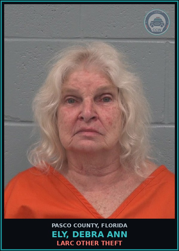 Booking mugshot of ELY, DEBRA ANN in Pasco County