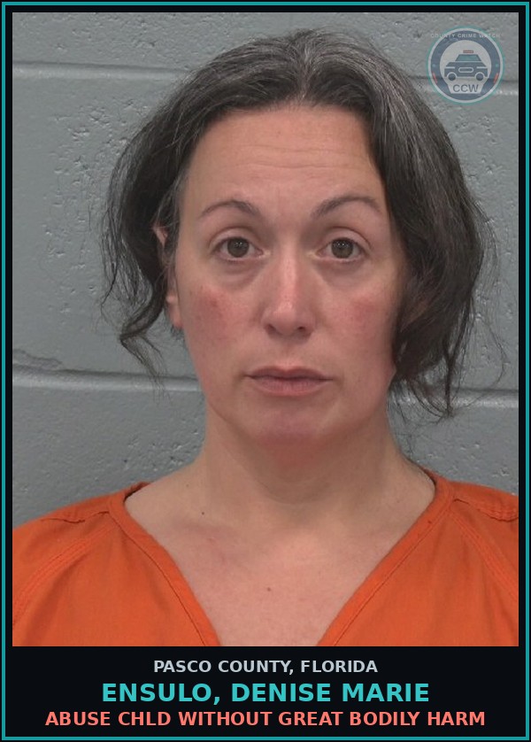 Booking mugshot of ENSULO, DENISE MARIE in Pasco County