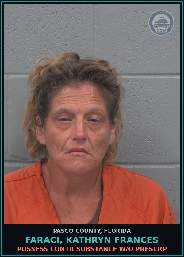 Booking mugshot of FARACI, KATHRYN FRANCES in Pasco County