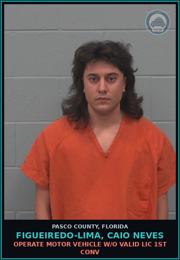 Booking mugshot of FIGUEIREDO-LIMA, CAIO NEVES in Pasco County