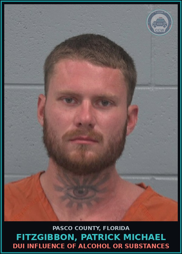 Booking mugshot of FITZGIBBON, PATRICK MICHAEL in Pasco County
