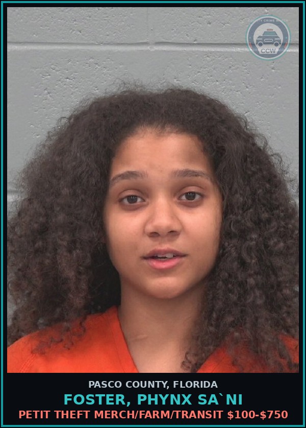 Booking mugshot of FOSTER, PHYNX SA`NI in Pasco County