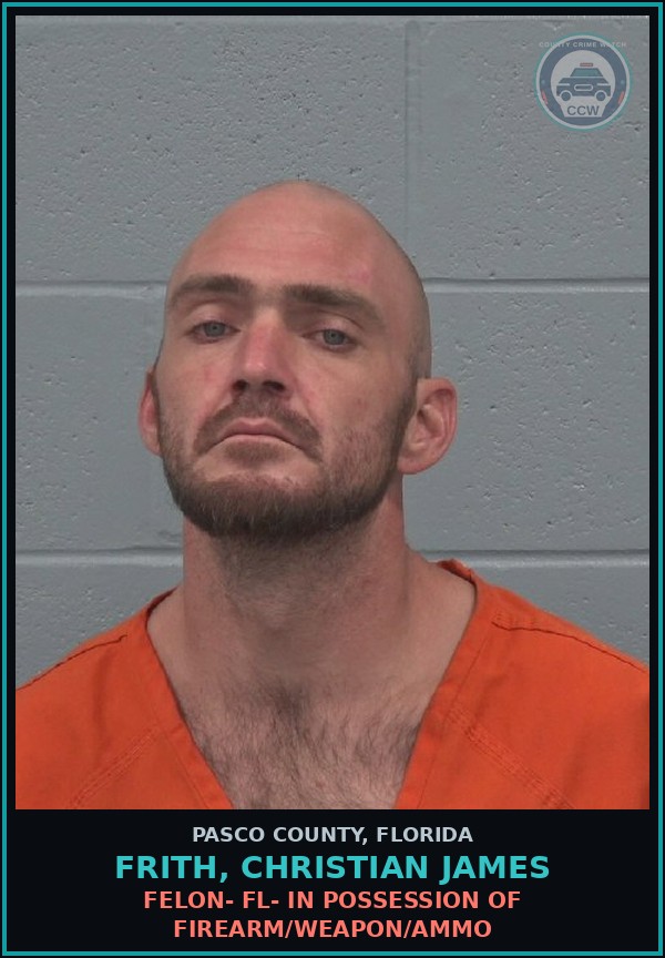 Booking mugshot of FRITH, CHRISTIAN JAMES in Pasco County