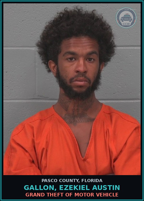 Booking mugshot of GALLON, EZEKIEL AUSTIN in Pasco County