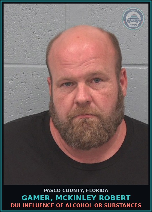 Booking mugshot of GAMER, MCKINLEY ROBERT in Pasco County