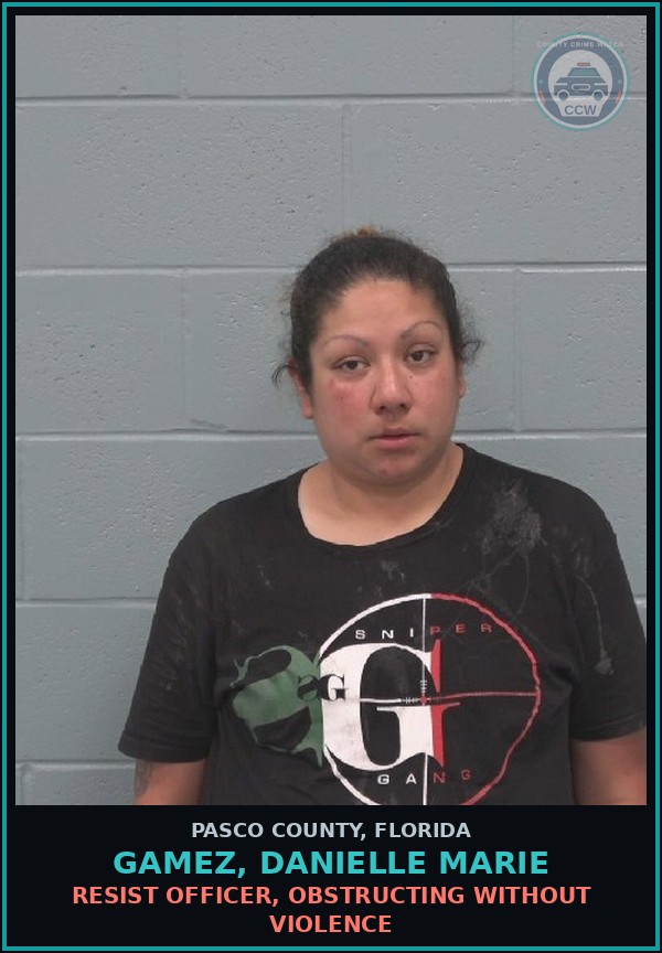 Booking mugshot of GAMEZ, DANIELLE MARIE in Pasco County