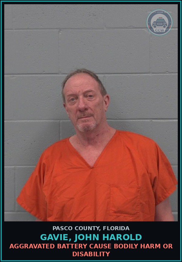 Booking mugshot of GAVIE, JOHN HAROLD in Pasco County