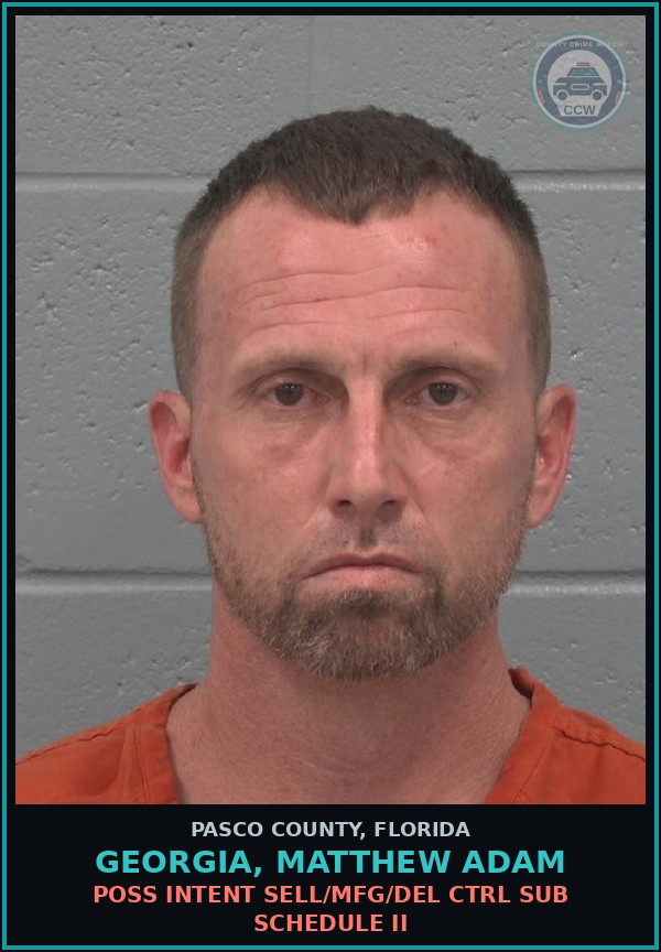 Booking mugshot of GEORGIA, MATTHEW ADAM in Pasco County