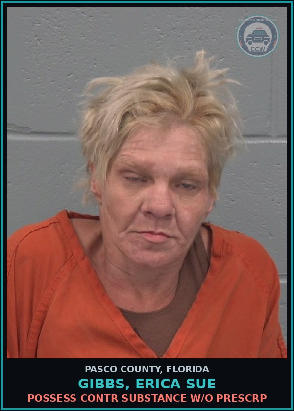 Booking mugshot of GIBBS, ERICA SUE in Pasco County