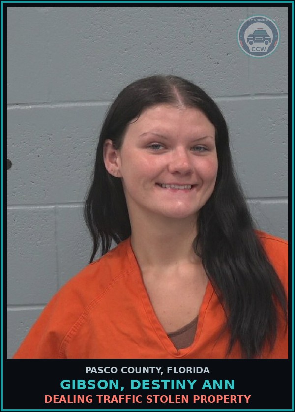 Booking mugshot of GIBSON, DESTINY ANN in Pasco County