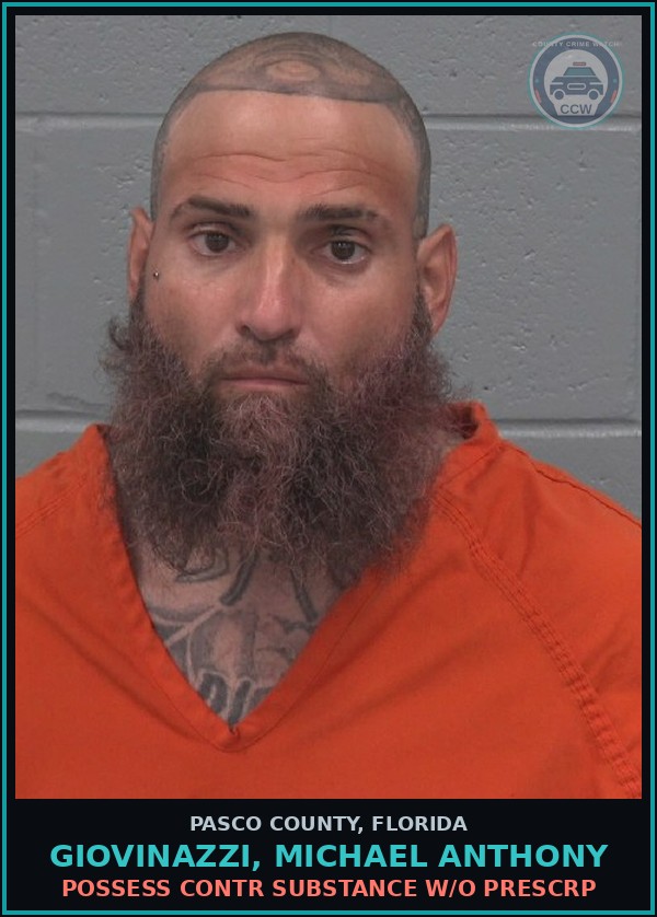 Booking mugshot of GIOVINAZZI, MICHAEL ANTHONY in Pasco County