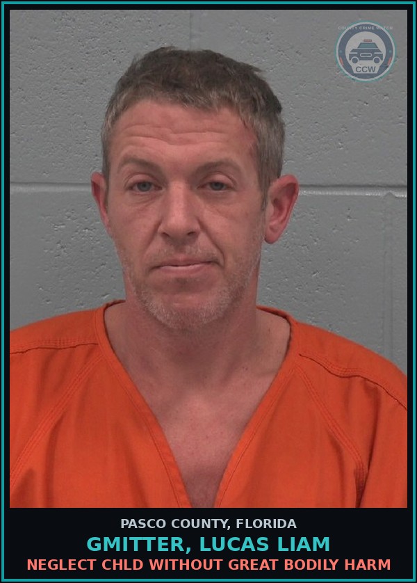 Booking mugshot of GMITTER, LUCAS LIAM in Pasco County