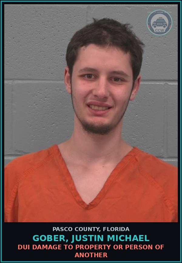 Booking mugshot of GOBER, JUSTIN MICHAEL in Pasco County
