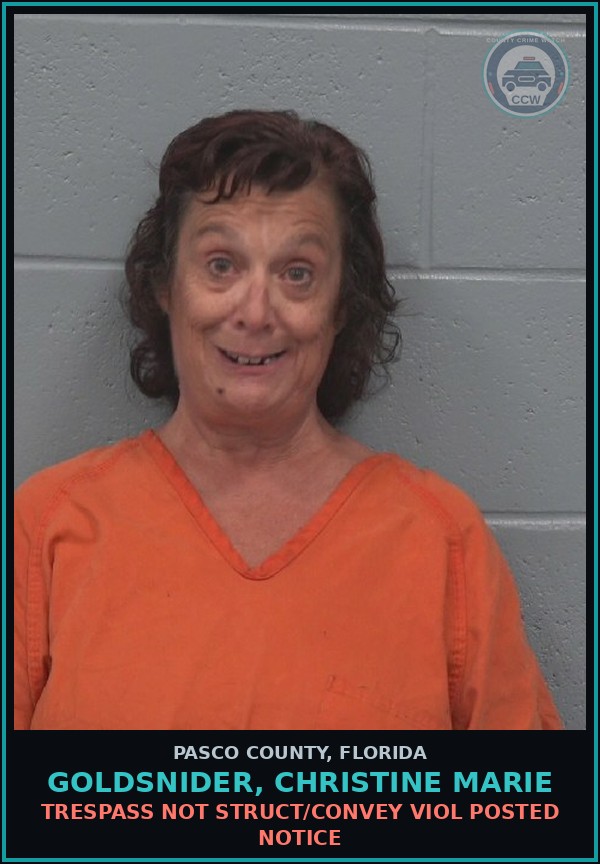 Booking mugshot of GOLDSNIDER, CHRISTINE MARIE in Pasco County
