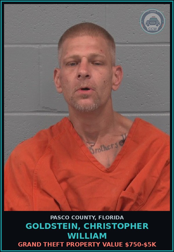 Booking mugshot of GOLDSTEIN, CHRISTOPHER WILLIAM in Pasco County
