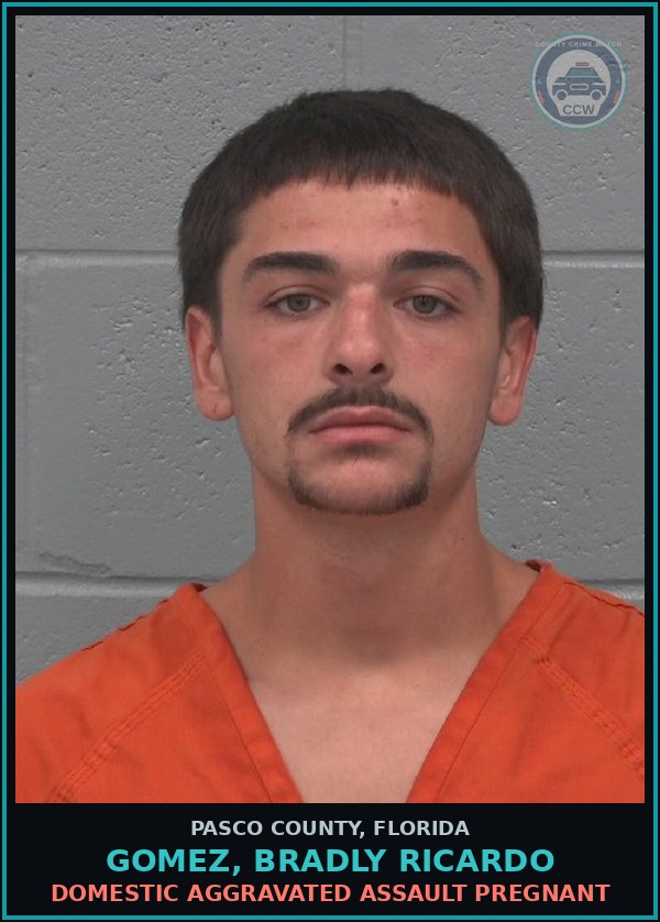 Booking mugshot of GOMEZ, BRADLY RICARDO in Pasco County