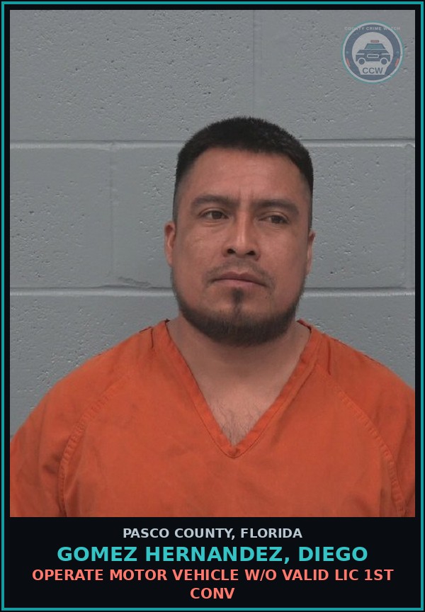 Booking mugshot of GOMEZ HERNANDEZ, DIEGO in Pasco County