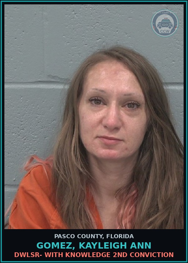 Booking mugshot of GOMEZ, KAYLEIGH ANN in Pasco County