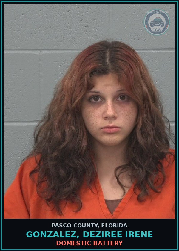 Booking mugshot of GONZALEZ, DEZIREE IRENE in Pasco County