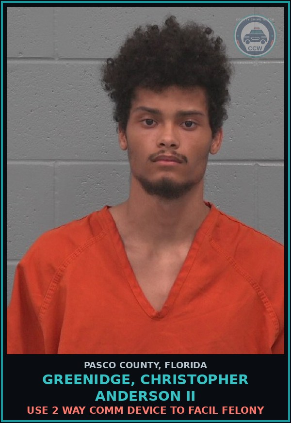 Booking mugshot of GREENIDGE, CHRISTOPHER ANDERSON II in Pasco County