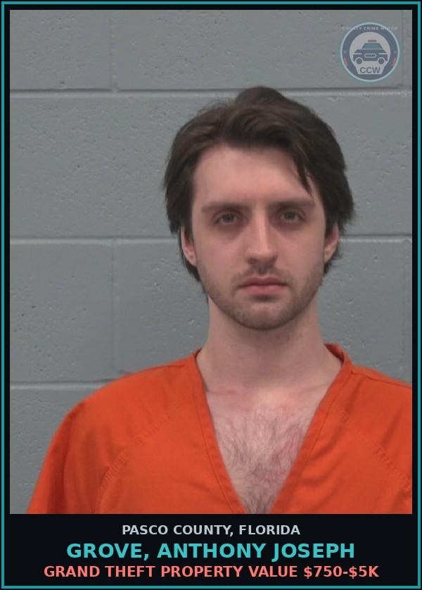Booking mugshot of GROVE, ANTHONY JOSEPH in Pasco County