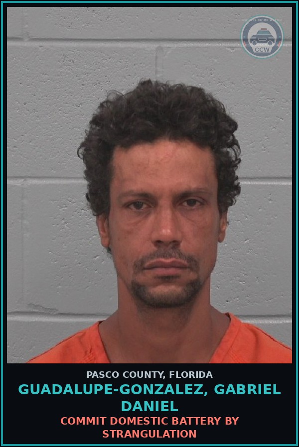 Booking mugshot of GUADALUPE-GONZALEZ, GABRIEL DANIEL in Pasco County