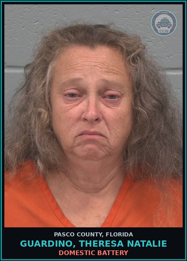 Booking mugshot of GUARDINO, THERESA NATALIE in Pasco County