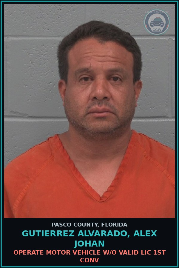 Booking mugshot of GUTIERREZ ALVARADO, ALEX JOHAN in Pasco County