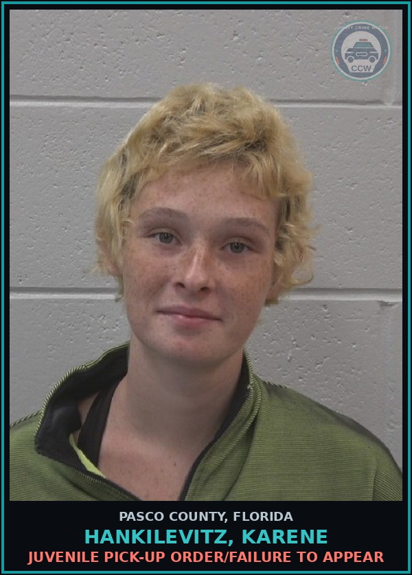 Booking mugshot of HANKILEVITZ, KARENE in Pasco County