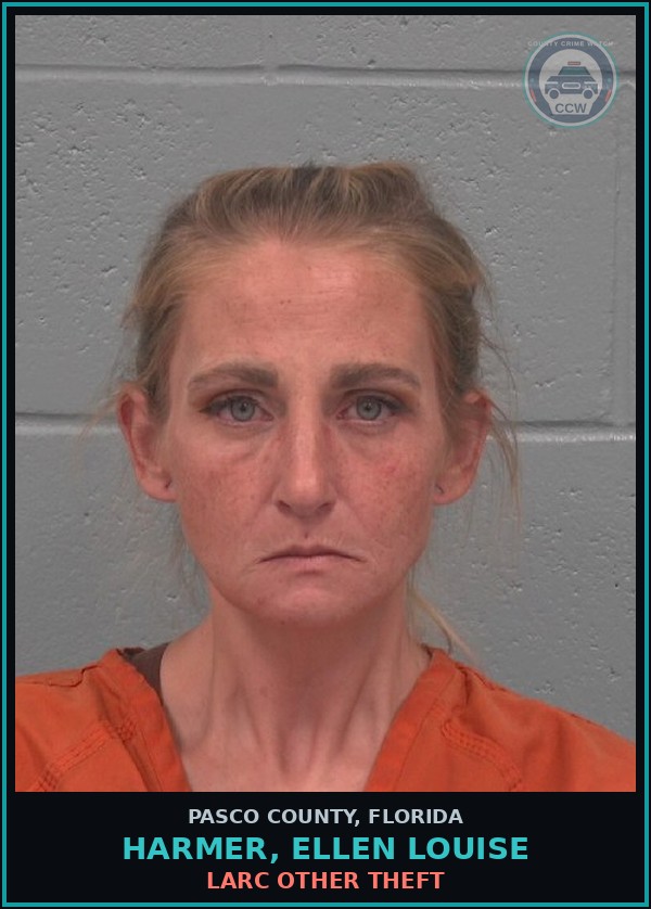 Booking mugshot of HARMER, ELLEN LOUISE in Pasco County