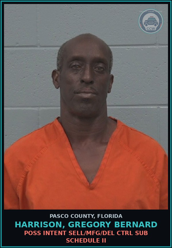 Booking mugshot of HARRISON, GREGORY BERNARD in Pasco County
