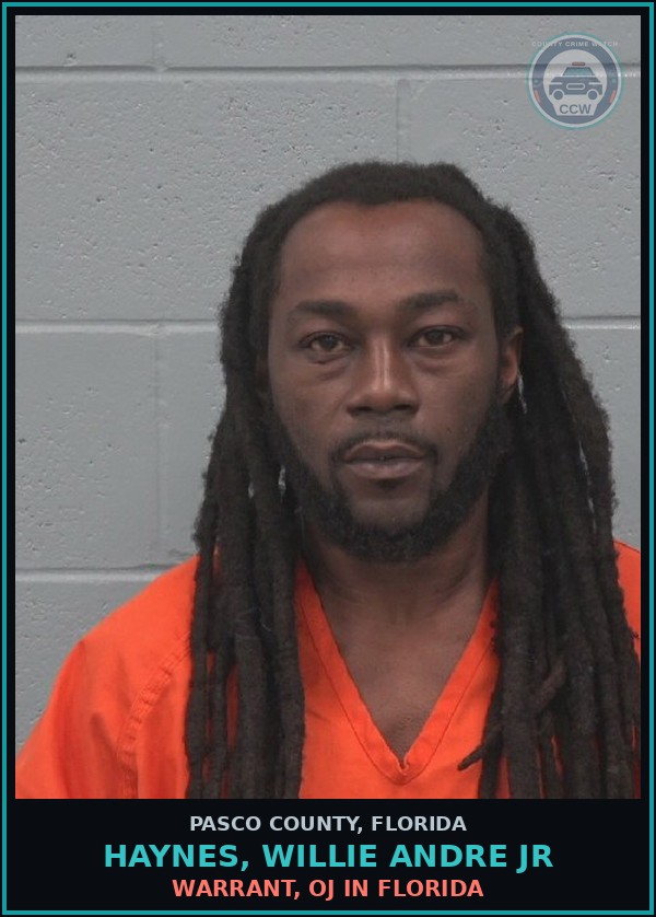 Booking mugshot of HAYNES, WILLIE ANDRE JR in Pasco County