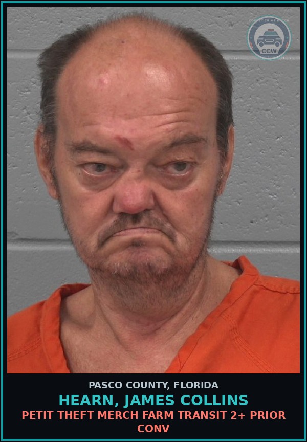 Booking mugshot of HEARN, JAMES COLLINS in Pasco County