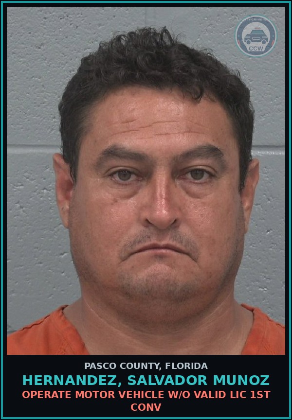 Booking mugshot of HERNANDEZ, SALVADOR MUNOZ in Pasco County