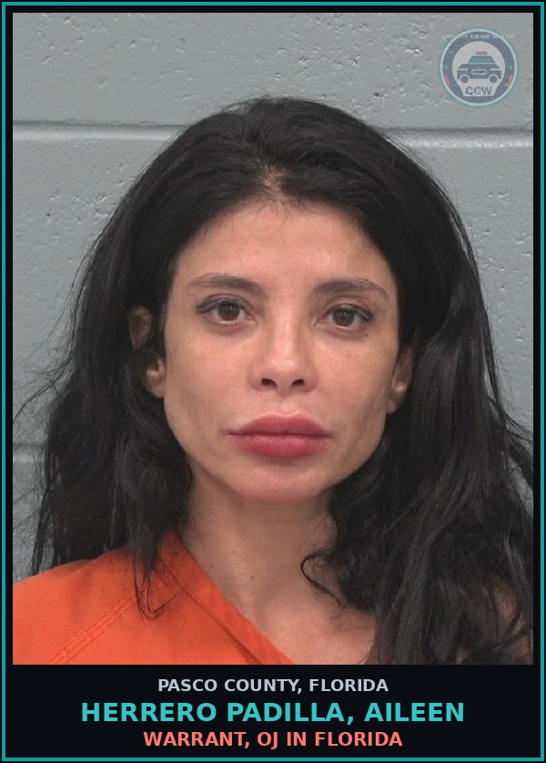 Booking mugshot of HERRERO PADILLA, AILEEN in Pasco County