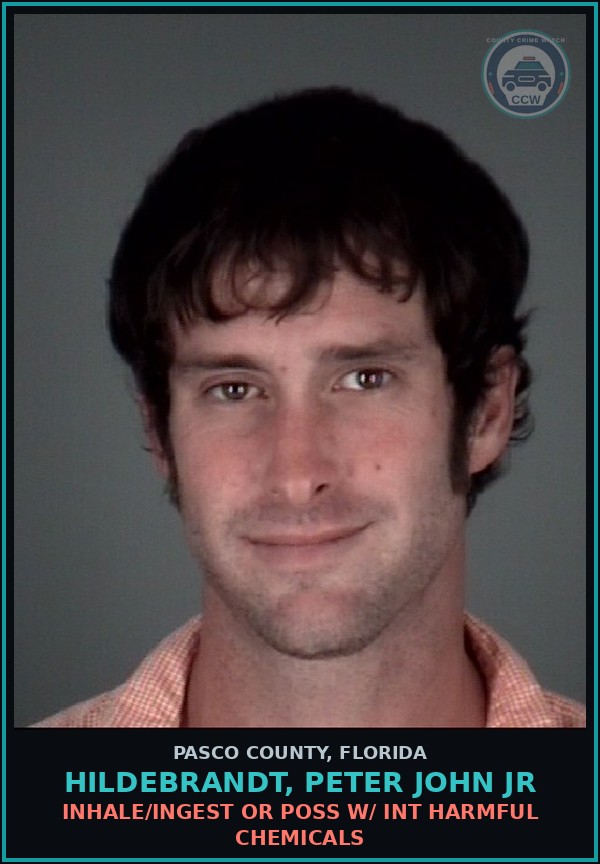 Booking mugshot of HILDEBRANDT, PETER JOHN JR in Pasco County