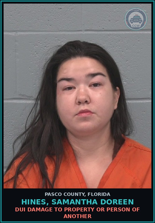 Booking mugshot of HINES, SAMANTHA DOREEN in Pasco County