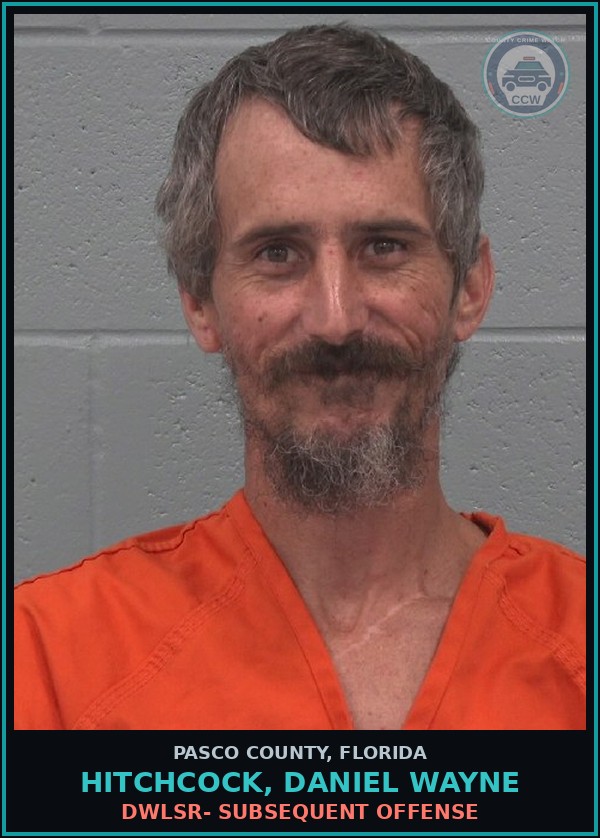 Booking mugshot of HITCHCOCK, DANIEL WAYNE in Pasco County