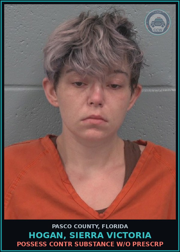 Booking mugshot of HOGAN, SIERRA VICTORIA in Pasco County
