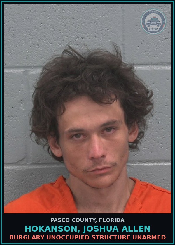 Booking mugshot of HOKANSON, JOSHUA ALLEN in Pasco County